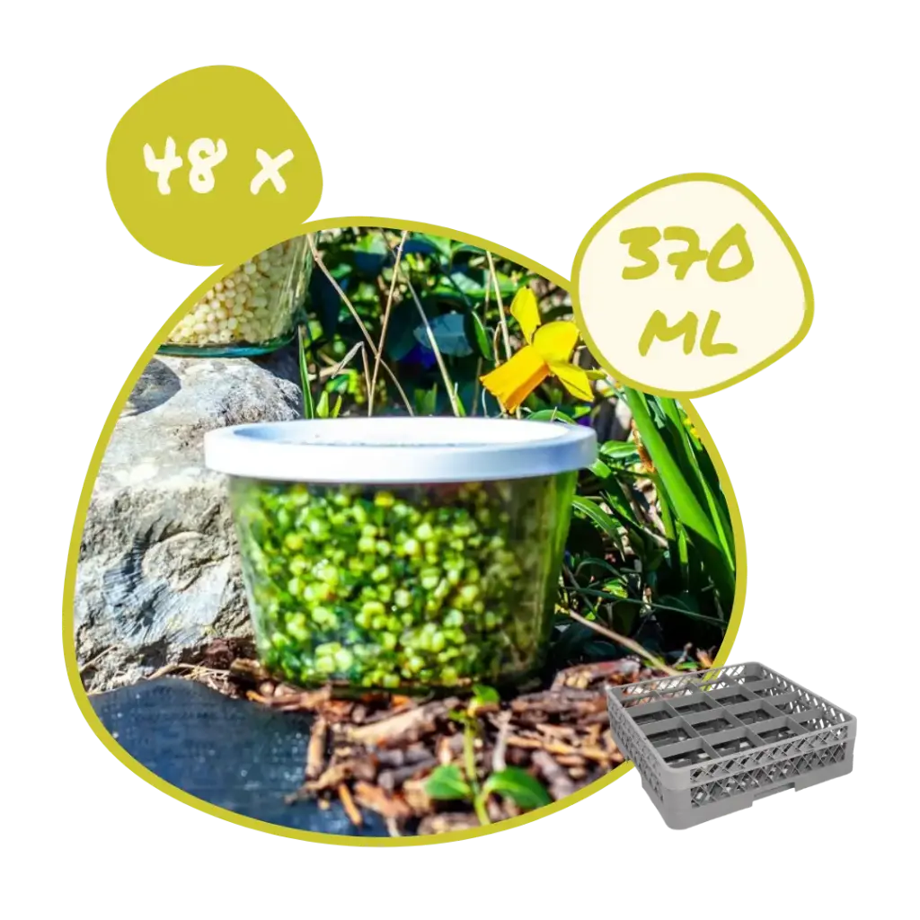 Mise à disposition 48 x Pot Weck 370 ml + couvercle plastique