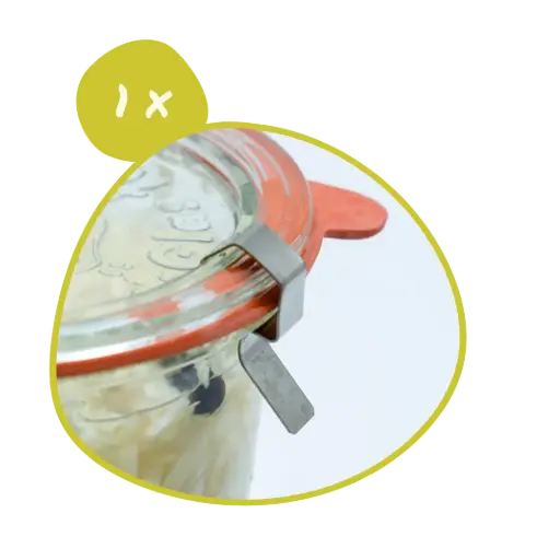 [CLIP] 1 x Clip pour couvercle verre Weck