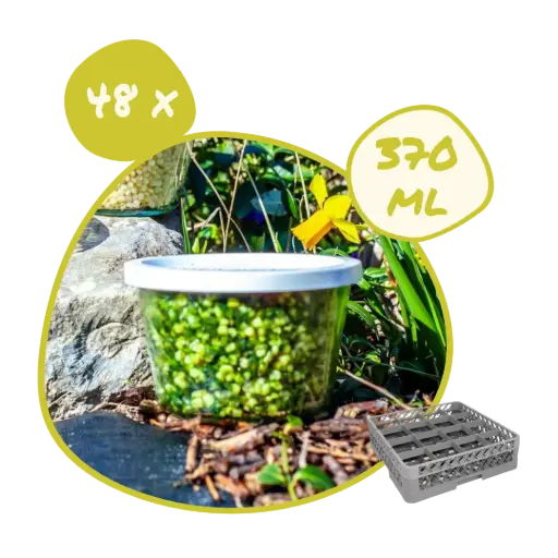 [POT-370+CPx48] Mise à disposition 48 x Pot Weck 370 ml + couvercle plastique