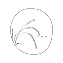 Boulangerie l'Alternative SRL
